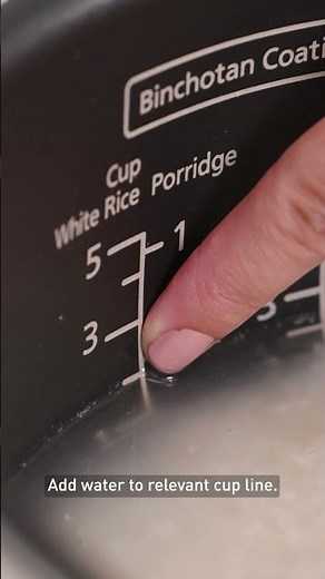 How to Use the Delay Timer | Panasonic SR-DL104 Rice & Multi Cooker