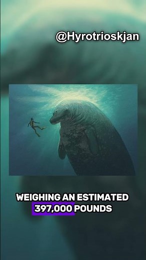 5 Largest Animals To Ever Exist