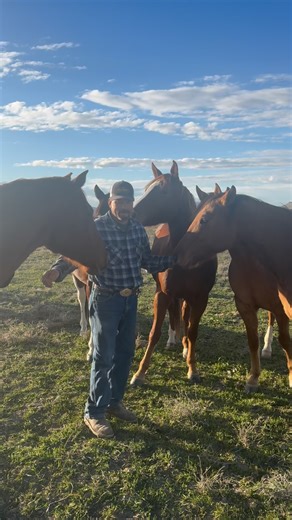 Surrounded by my young colts… learning, growing, and earning their trust one quiet moment at a time. This is where the future. #horseman #trust #coltstarting #potros #caballos #horselife | Ramon Castro Horsemanship