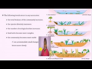 Grade 12 Biology Unit 2 (Part 3): Ecological succession