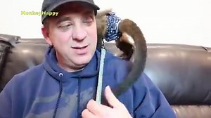 192K views · 10K reactions | Watch this cute baby monkey learn to use his leash so he can go out and make new friends!  | MonkeyBoo | Facebook