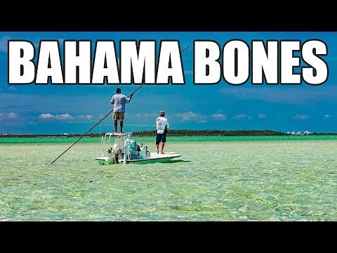 Bonefish Fly Fishing Schooling Bones in Chub Cay Bahamas