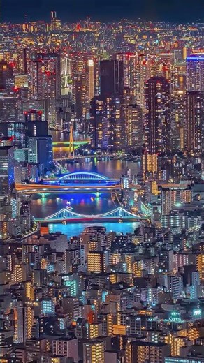 Japan: From Tradition to Technology