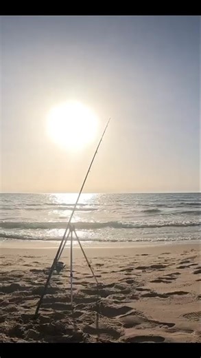 Surf Fishing Setup at Sunrise 🎣