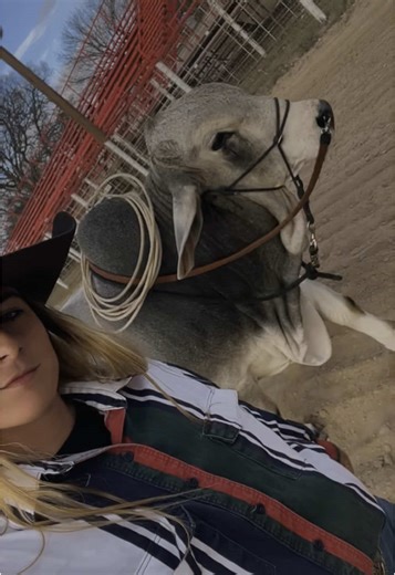 No roping dummy so you improvise… @Liz Smoker @TAdkisson25 #clydethebrahman #fyp #pov #fypシ #brahman #training #rodeo #roping