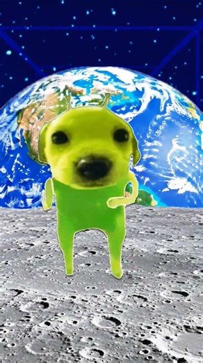 Party in space #party #space #beach #aliendog #alien #trend #backstage #goviral