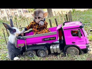 BinBin Monkey Rabbit goes supper truck to pick fruit