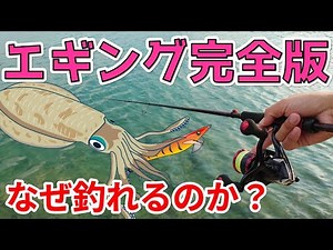エギングの魅力と技法を徹底解説！アオリイカが釣れる秘密を暴露