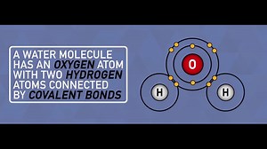 Water can do some pretty weird things--all because of it's chemical makeup. | Reactions