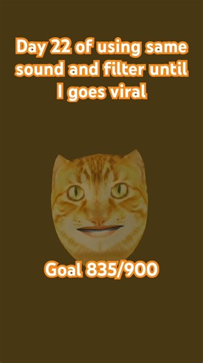 Day 22 of using same sound and filter until I goes viral 835/900