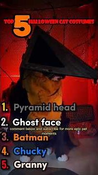 Top 5 Cat Costumes That DOMINATED Halloween 2025 😼💥