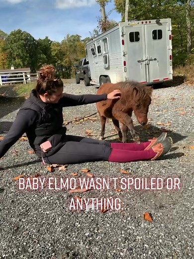 CrazyCandace on TikTok