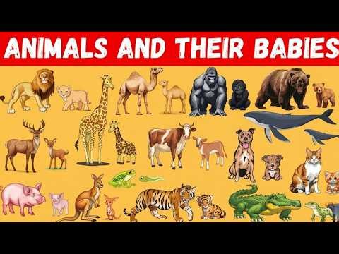 ABC AnimalsㅣEP160ㅣAlphabet Songs for KidsㅣBebefinn Nursery Rhymes