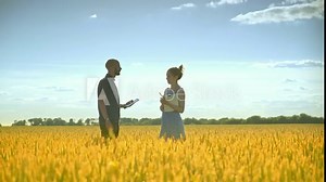Agro farmer analyzing wheat ears with female agronomist. Agricultural scientist working in harvest field. Agriculture research. Man and woman with documents in wheat field
