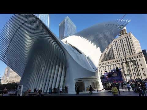 Visiting The Oculus NYC: Top Things to See at New York’s Iconic Landmark