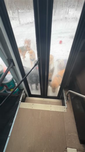 K9 Konvoy on Instagram: "⏱️➡️🏘️"