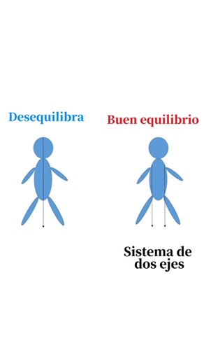 松本蓮 / Len Pasion on Instagram: "◾️Cómo adquirir movimiento de doble eje - Mueve los brazos en línea con los hombros (eje doble para la parte superior del cuerpo). - Presionar el suelo con las puntas de los pies evita que los pies se arruguen hacia adentro (eje doble para la parte inferior del cuerpo). El método de entrenamiento se enseña en el Método de Movimiento Esencial."