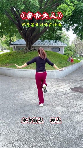 Learn Square Dance Basics: Step-by-Step Guide for Beginners