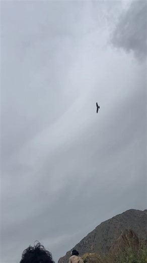 فيديوهات أنشأها شرف سام (@sharf_sam) باستخدام الصوت الأصلي - عبدالعزيز العليوي 🪕