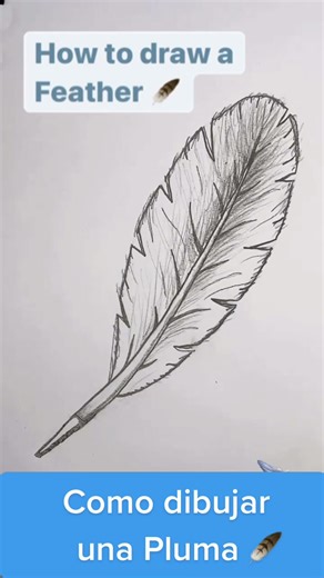 How to Draw Sensei: Step-by-Step Guide