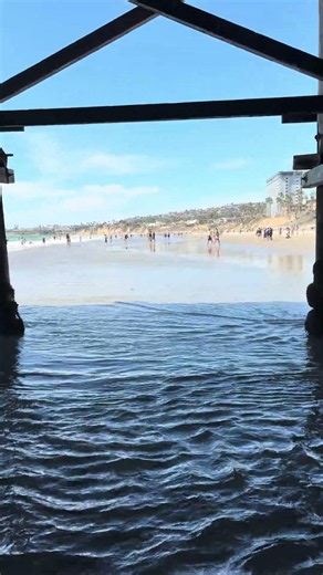 Walking Under Pacific Beach Pier in San Diego California 🌊 #shorts