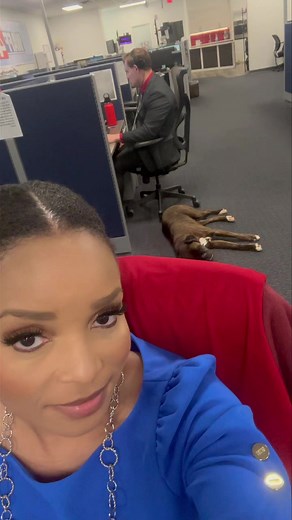 80K views · 1.8K reactions | My emotional support decided to support someone else… | Margo Gray WAFF 48 | Facebook