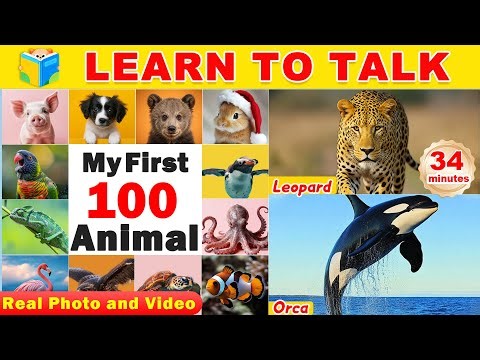 First 100 Animals for Toddlers | Learn Animal Sounds & Names | Vocabulary & Speech for Kids
