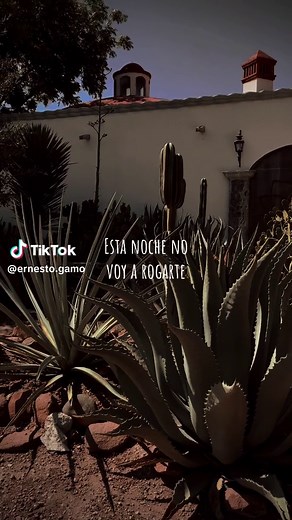 El Último Trago: Melancolía y Desamor en Canciones