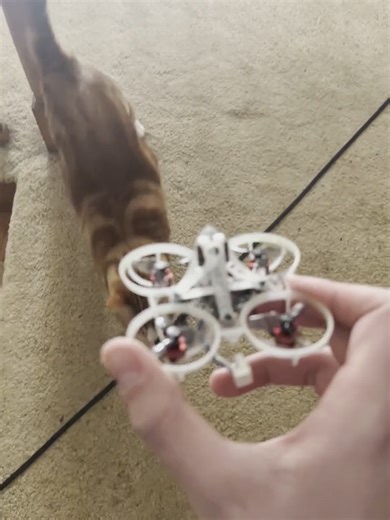 threw some triblades on this guy and hes rippin. unfortunatly the frame broke pretty bad while doing this, think im gonna throw a cockroach lite af frame on it and probably switch the cam out for the bleed eye. The snow around me is no joke id say another month before i can see the ground again hoping we dont get more so i can get some outdoor flying.#tinywhoop #drone #fpv #fyp