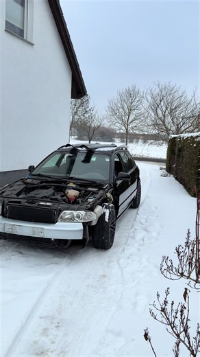 Wird#tuning #a4 #b5 #audi #gänsehoden