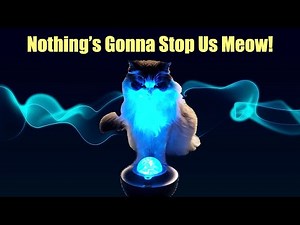 Nothing's Gonna Stop Us Now - not by Starship this time, but CATS! Parody Song.