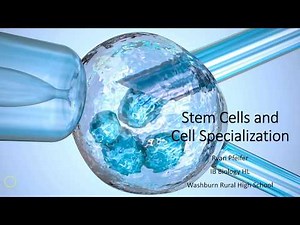 Stem Cells and Cell Specialization