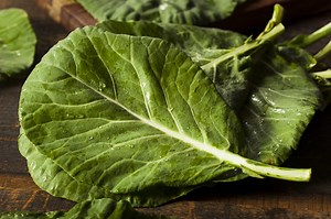 Homemade Pest Control for Collard Greens