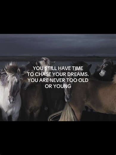 #pinterest #majestic #tumblr #horses | Horses Of TikTok