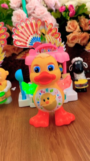 Orange and green winged duck dancing aram sam sam