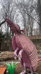 15K views · 206 reactions | The countdown is on—Spring Illuminations is just two weeks away! Get ready to glow with us. ✨ Here’s a sneak peek of the magic—don’t miss out: https://bit.ly/4kJa8uD | The Maryland Zoo in Baltimore | Facebook