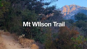 Mt Wilson Trail Hike