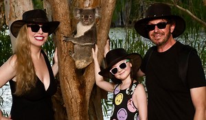 Koala Cuddles & Leaping Meerkats: Billabong Sanctuary in Townsville, Australia