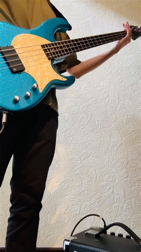 Red Hot Chili Peppers "Soul to Squeeze" #Modulus #Bass