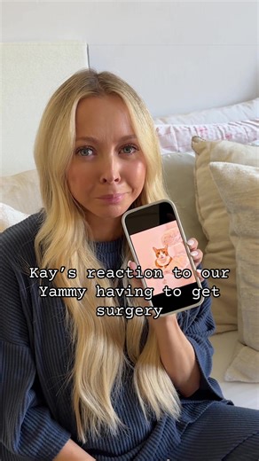 Yammy's Kidney Stone Surgery: A Cat's Recovery