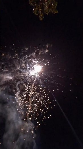 Merc With A Mouth 25 Shot Firework 💯💯🔥