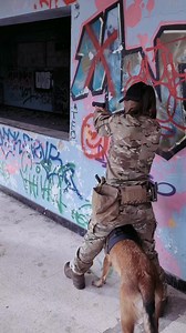 #girls #army #ops #tactical #training #armygirl #k9training #k9dogs #k9 #airsoft | Werwolf.K9