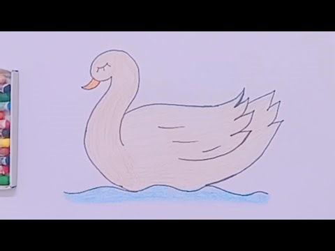 How To Draw A Swan 🦢 | Easy Drawing Practice And Coloring For Kids