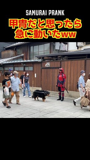 日本のドッキリ: 土方歳三風サムライのいたずら