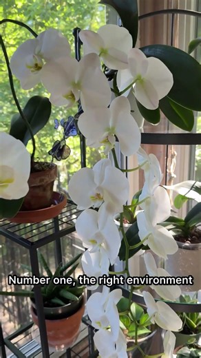 I was told by someone that I was hiding something 😂