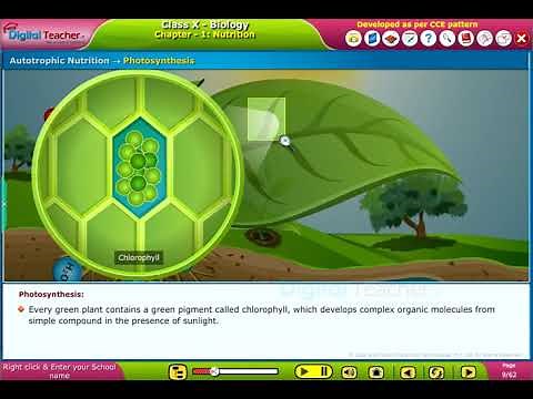 Modes of Nutrition, Class 10 Biology | Digital Teacher | #biology #education #class10