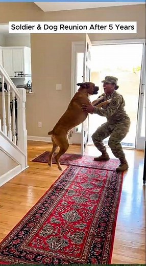 The Emotional Moment This Soldier Reunites With His Military Dogs (They Never Forgot Him)