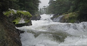 Alaska sets the gold standard for fisheries management. As a worldwide leader, Alaska is committed to applying successful, science-based sustainable fisheries management practices. Learn more about our commitment to the future health and resiliency of fish populations and the marine ecosystem here: https://bit.ly/32RPW6A | Alaska Seafood