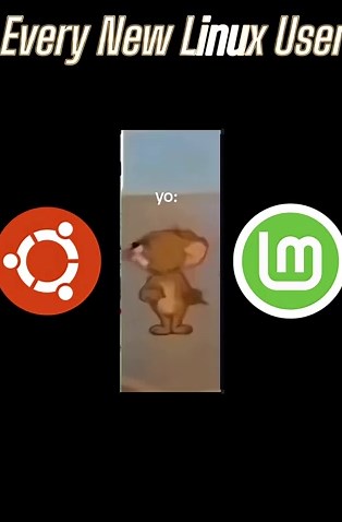 Every New Linux User #linux #ubuntu #linuxmint