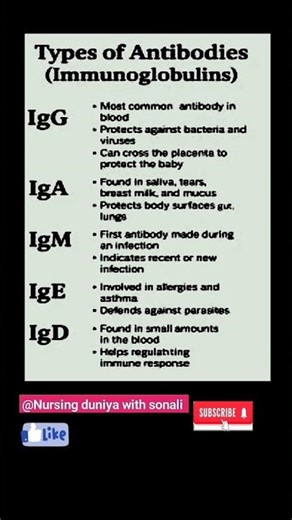 💥Types of antibodies #immunoglobulins #antibody #antibiotics #medical #shorts